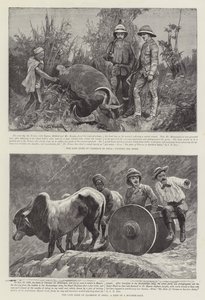 The Duke of Clarence in India